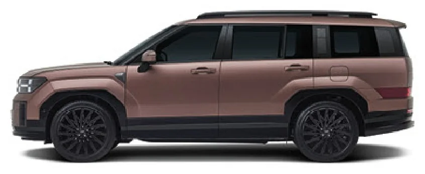 Hyundai Santa Fe – vue 79