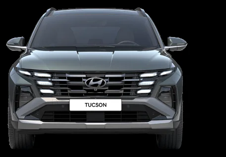 TUCSON Cypress Green interior pack